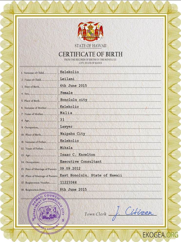 Modèle PSD de certificat de naissance à Hawaï